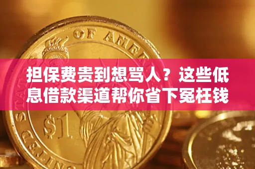济南担保费贵到想骂人？这些低息借款渠道帮你省下冤枉钱