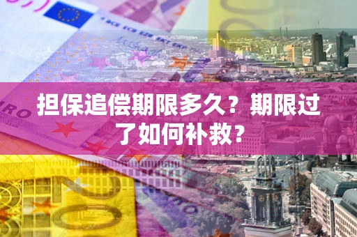 济南担保追偿期限多久？期限过了如何补救？