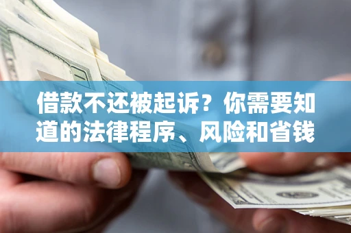 济南借款不还被起诉？你需要知道的法律程序、风险和省钱技巧