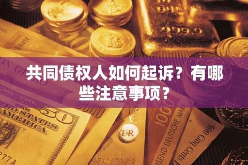 济南共同债权人如何起诉？有哪些注意事项？